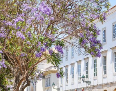 Luxury villas with panoramic sea views in Faro, Algarve, Portugal