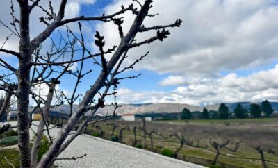 Pet-Friendly vacation home for rent in Beira Baixa, Portugal – 5 km from Castelo Novo River Beach